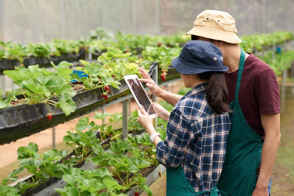 Embracing Technology: The Digital Farm of Tomorrow​