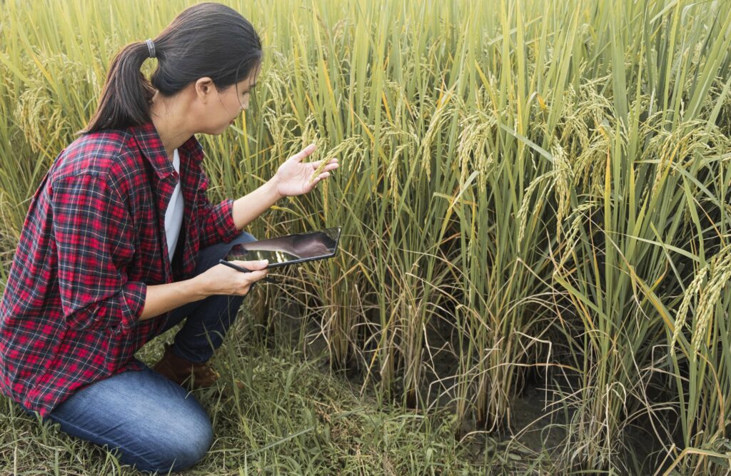 Understanding Crop Rotation:​