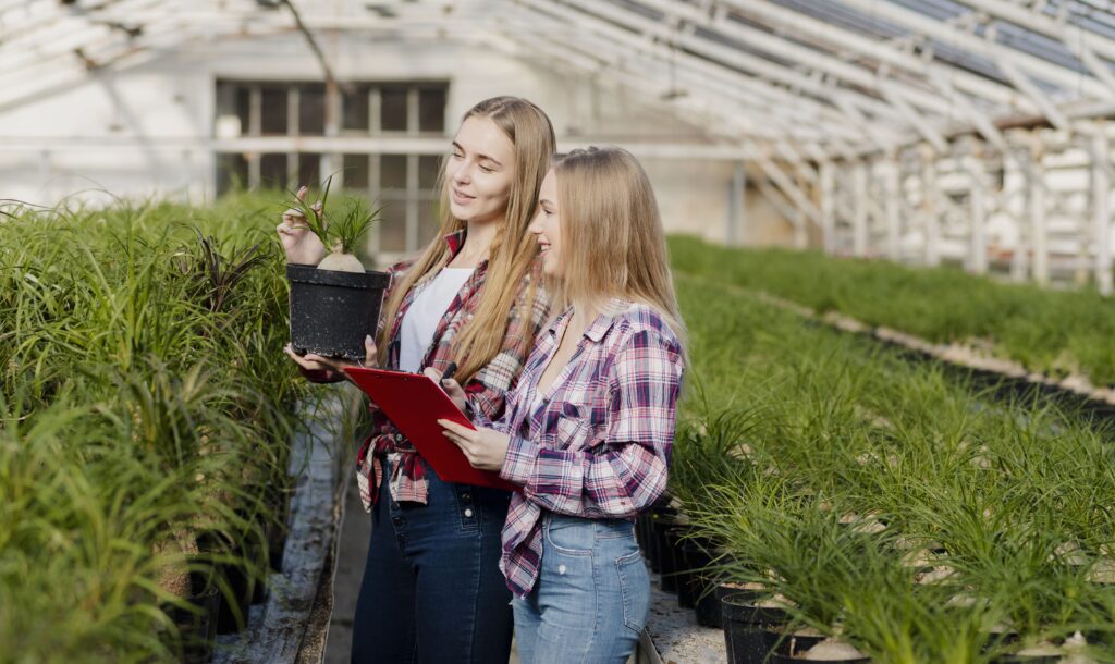 Commercial Agriculture Definition: Understanding the Basics of Large-Scale Farming