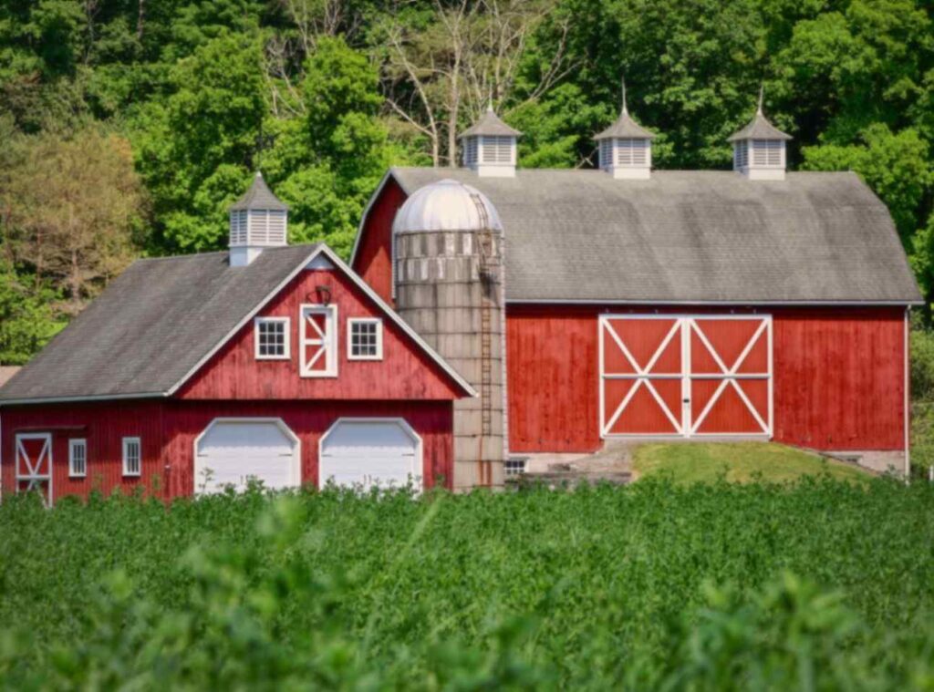 dimeo farms new jersey