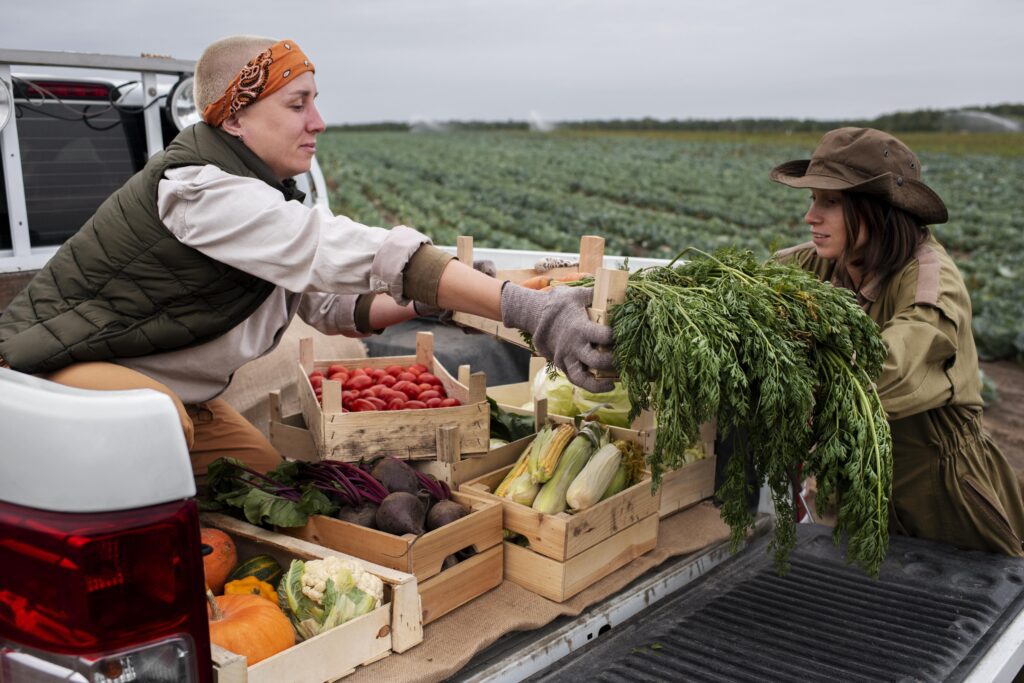 Vegetables to Plant in December