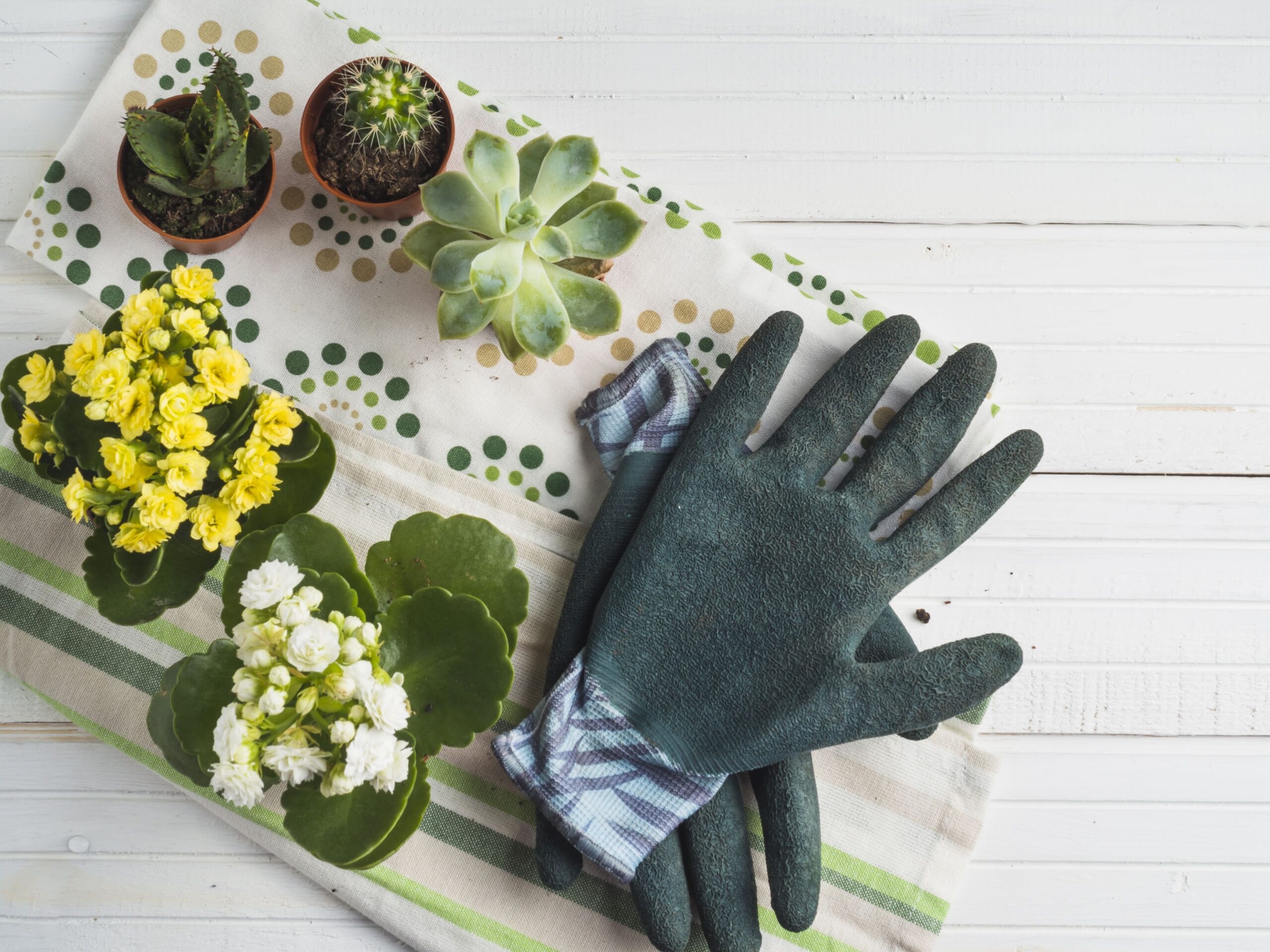 Gardening Gloves