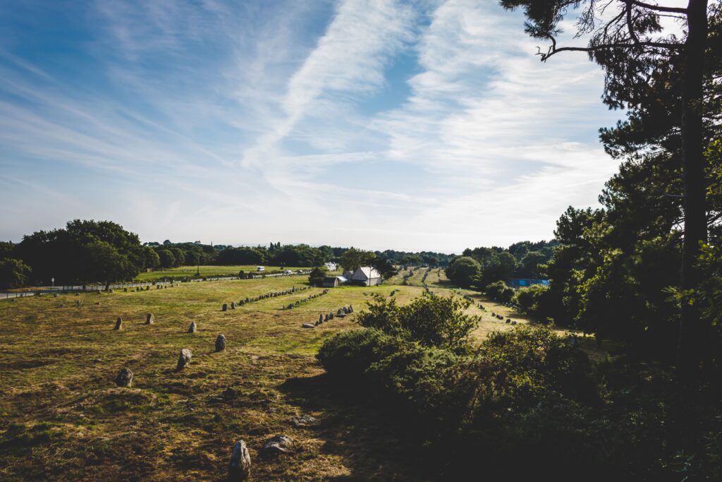 Good Day Farm Belton: A Hidden Gem for Nature Lovers