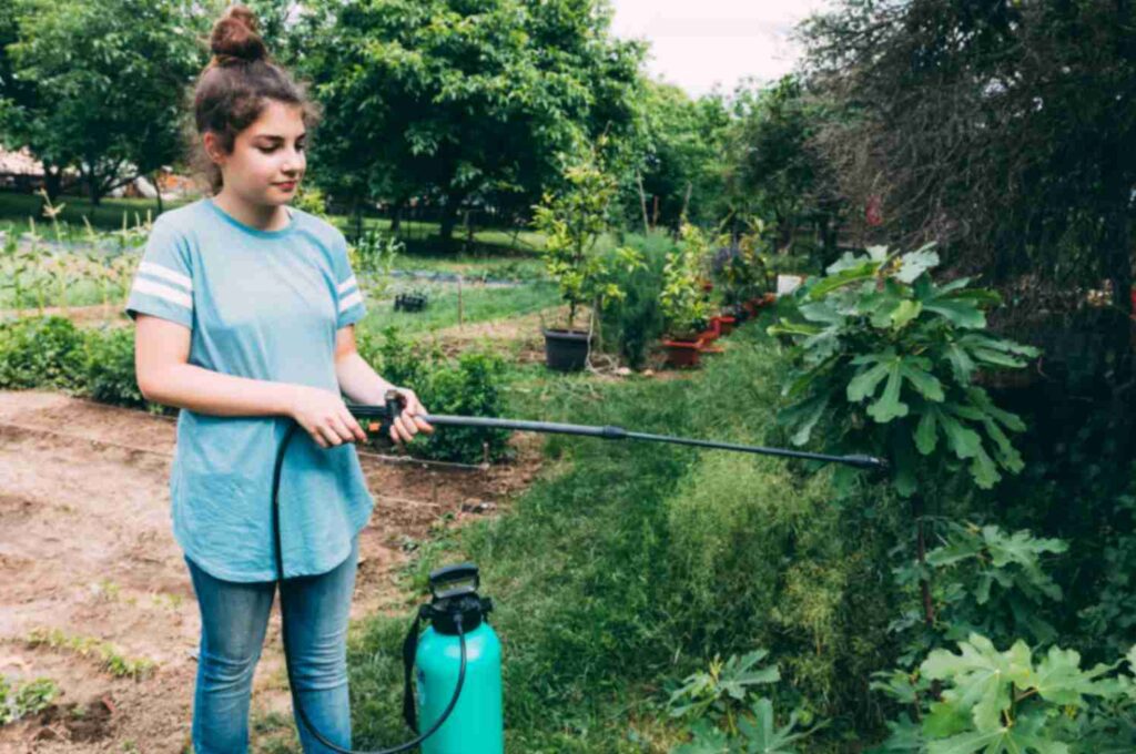 Garden Watering Systems