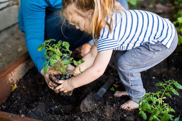 Barefoot Gardening