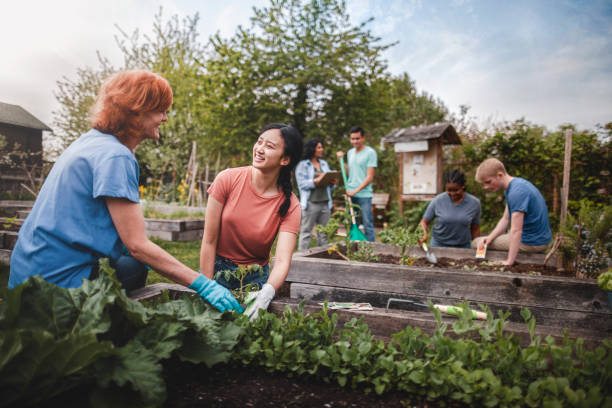 Guide to Hobby Gardening: Tips and Tricks