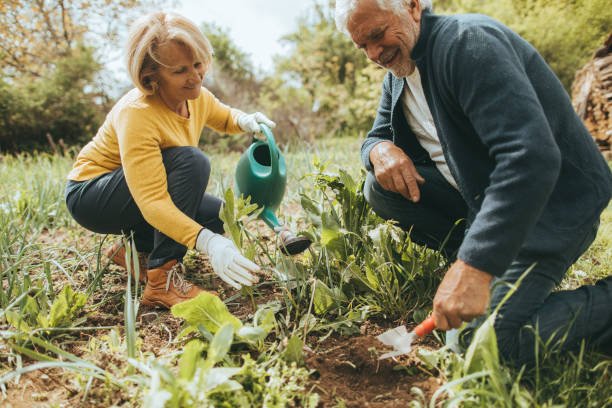 Hobby Gardening